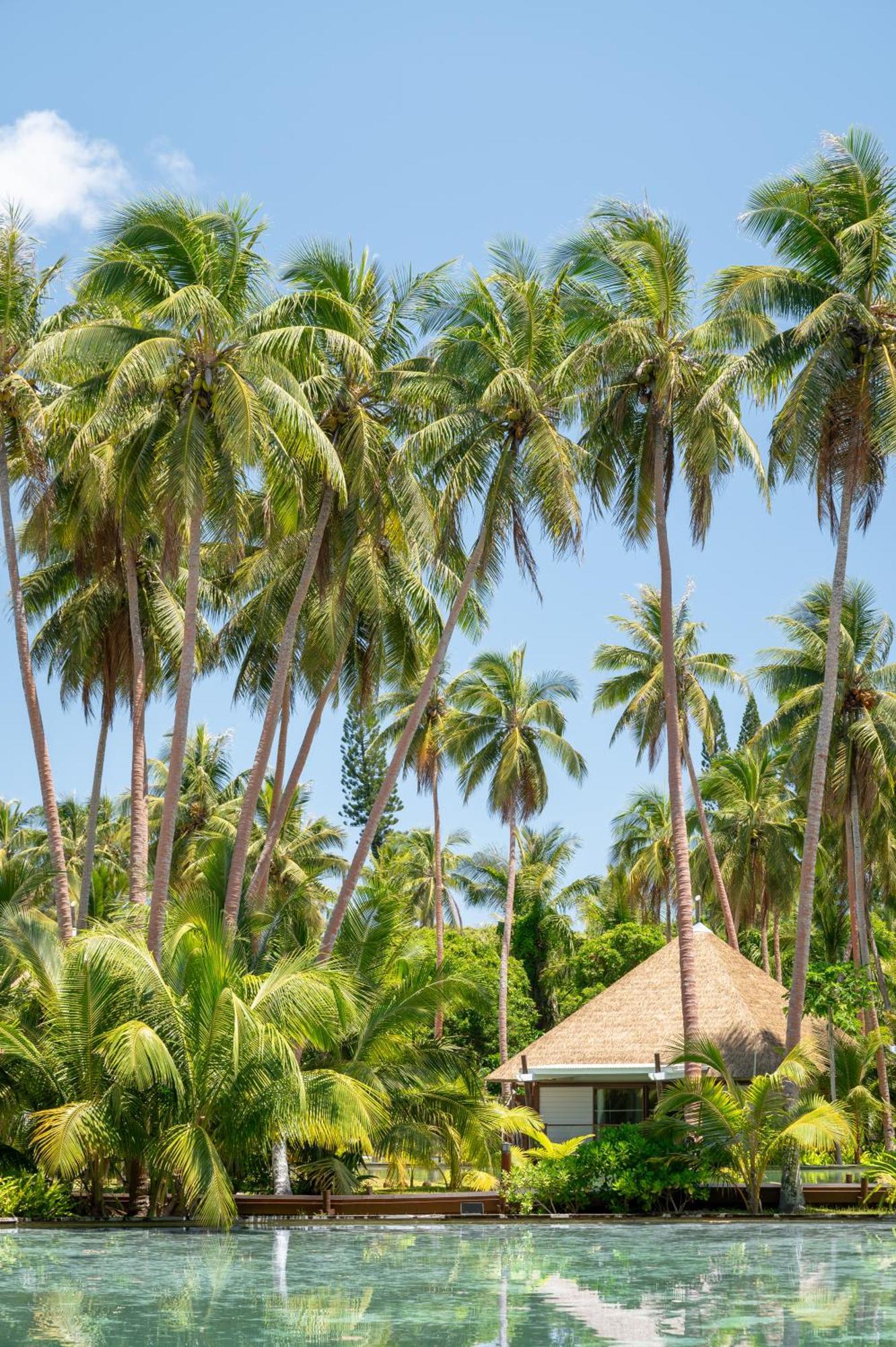 Intercontinental Lifou Wadra Bay Resort Akaouane Exterior foto